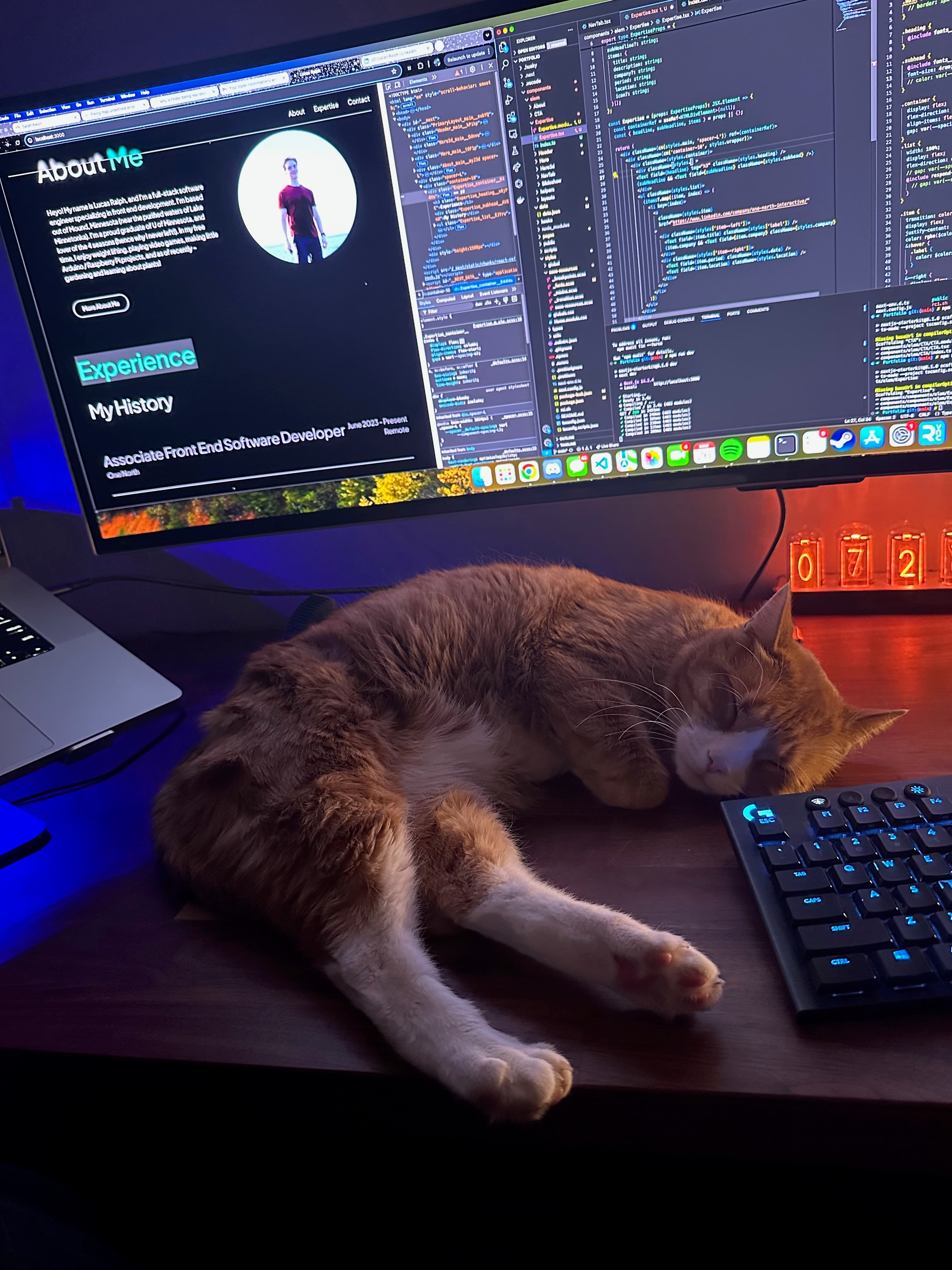 My cat Milo! I've had milo for about 5 years now, and he's my little developer buddy. He likes to hang out with me in my office while I work, and generally is pretty skilled at making sleep look so good ...
